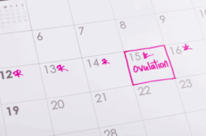 The WHYs and HOWs of preparing for your fertility journey